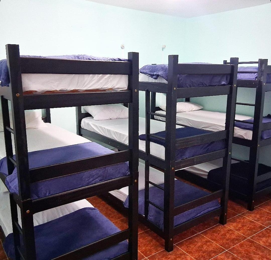 Casa Fractal Hospedagem domiciliar São Paulo