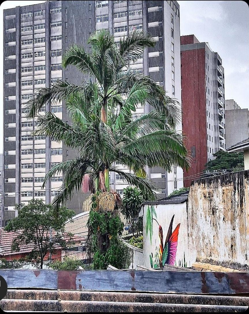Casa Fractal * São Paulo