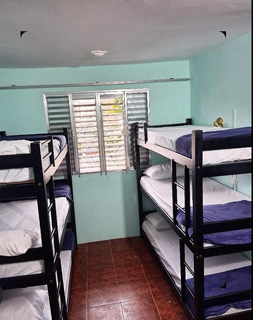 Casa Fractal *
